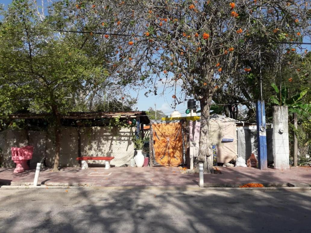Hostal Y Camping Las G Bacalar Eksteriør bilde